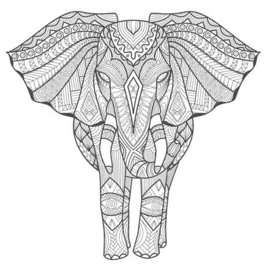Cadre Tangle 40x40 - Eléphant Afrique